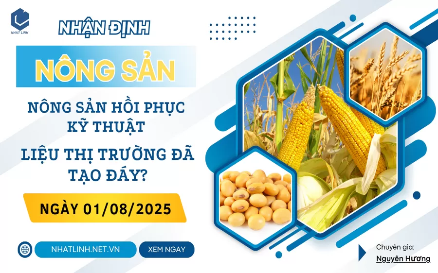 NHẬN ĐỊNH: NHÓM NÔNG SẢN NGÀY 01/08/2025